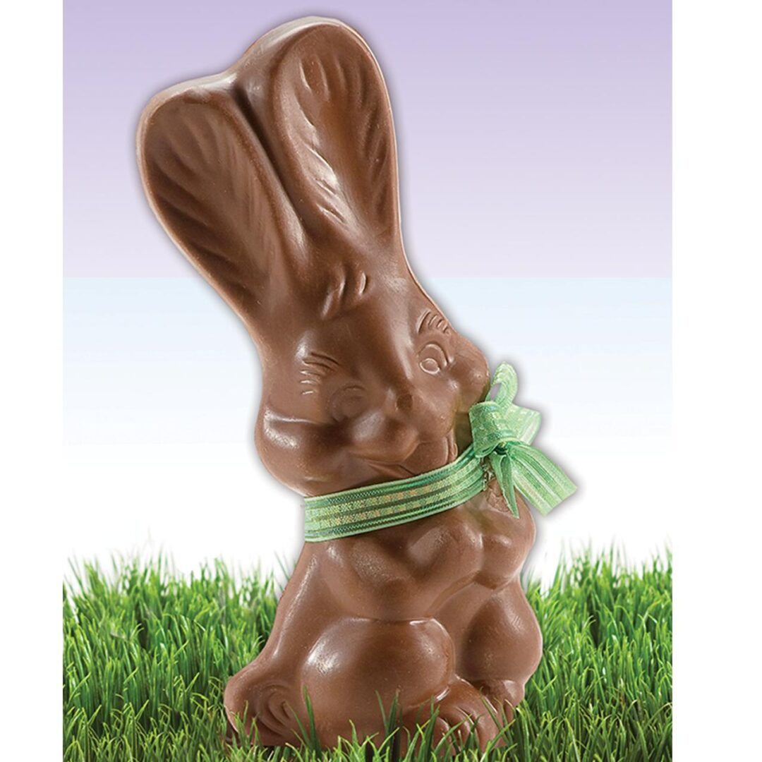 Chocolate Bunny - American Fundraising Services, Inc.