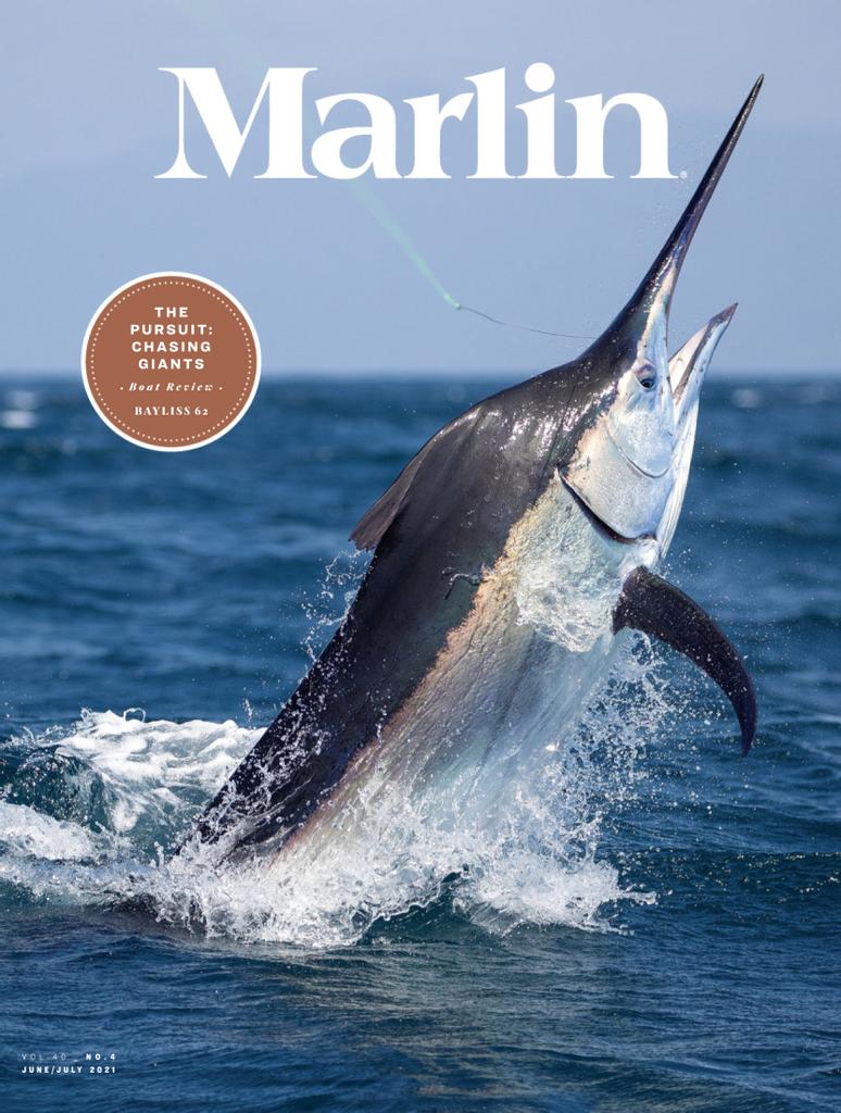 Marlin Magazine 1 year